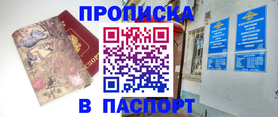 пропишу в квартире в Шилке